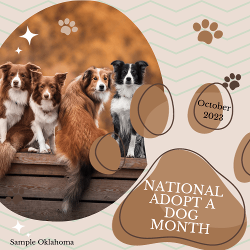 National Adopt a Dog Month 2023