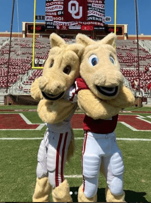 oklahoma university, horse, mascot, college