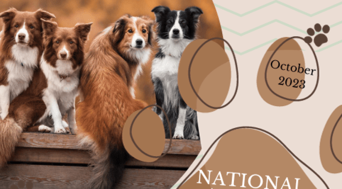 National Adopt a Dog Month 2023