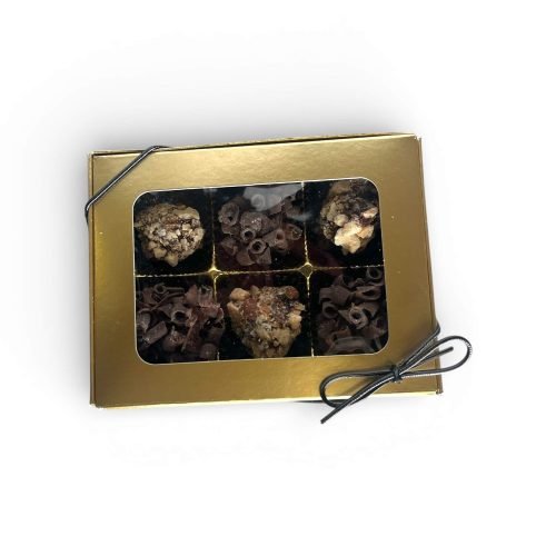 Photoroom_20260124_152231