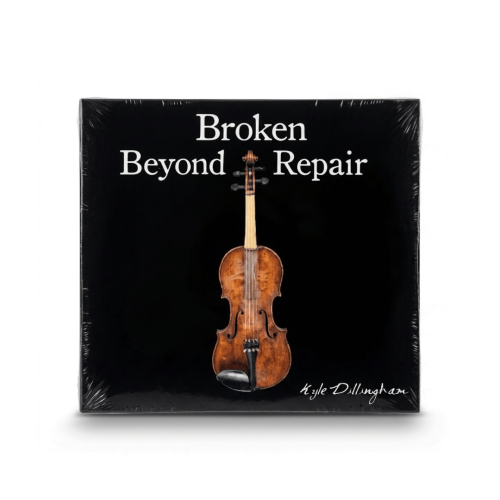broken beyond repair kyle dillingham
